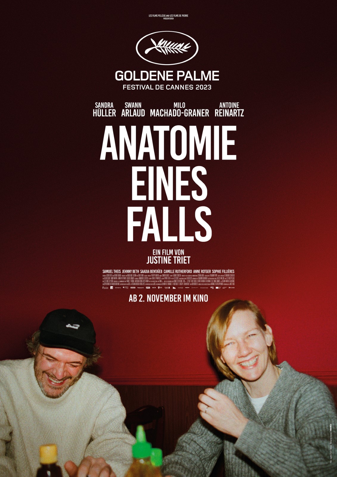 Hauptfoto Anatomie eines Falls